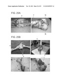 DEBONING METHOD AND APPARATUS FOR MEAT WITH BONE USING X-RAY diagram and image