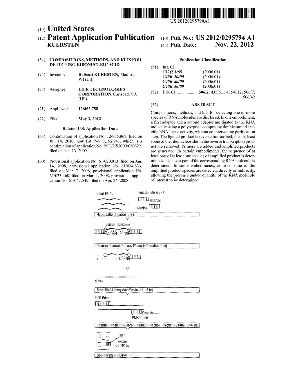 COMPOSITIONS, METHODS, AND KITS FOR DETECTING RIBONUCLEIC ACID - diagram, schematic, and image 01