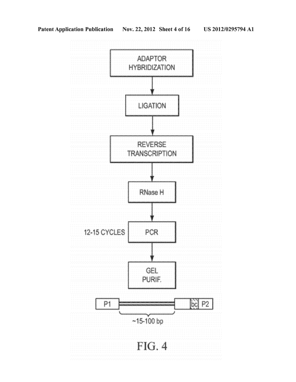 COMPOSITIONS, METHODS, AND KITS FOR DETECTING RIBONUCLEIC ACID - diagram, schematic, and image 05