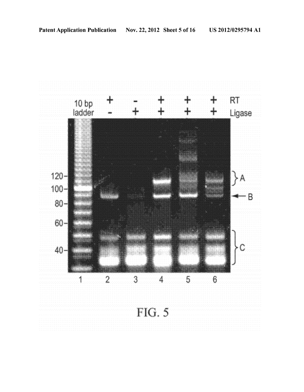 COMPOSITIONS, METHODS, AND KITS FOR DETECTING RIBONUCLEIC ACID - diagram, schematic, and image 06