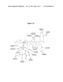 METHODS AND COMPOSITIONS FOR CANCER TREATMENT RELATING TO BRCA1 BRCT     DOMAIN RECOGNITION OF PHOSPHORYLATED BACH1 diagram and image