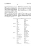 METHODS AND COMPOSITIONS FOR CANCER TREATMENT RELATING TO BRCA1 BRCT     DOMAIN RECOGNITION OF PHOSPHORYLATED BACH1 diagram and image