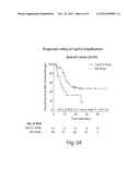 CHROMOSOME COPY NUMBER GAIN AS A BIOMARKER OF UROTHELIAL CARCINOMA     LETHALITY diagram and image