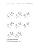 Solid Support Assay Systems and Methods Utilizing Non-Standard Bases diagram and image