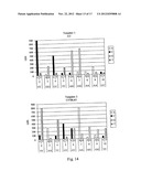 Solid Support Assay Systems and Methods Utilizing Non-Standard Bases diagram and image