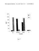 Solid Support Assay Systems and Methods Utilizing Non-Standard Bases diagram and image