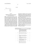 Solid Support Assay Systems and Methods Utilizing Non-Standard Bases diagram and image