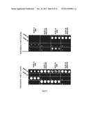 APTAMERS DIRECTED AGAINST THE MATRIX PROTEIN-1 OF TYPE A INFLUENZA VIRUSES     AND USES THEREOF diagram and image