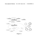 PLASMIDS AND METHODS FOR PEPTIDE DISPLAY AND AFFINITY-SELECTION ON     VIRUS-LIKE PARTICLES OF RNA BACTERIOPHAGES diagram and image