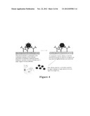 PLASMIDS AND METHODS FOR PEPTIDE DISPLAY AND AFFINITY-SELECTION ON     VIRUS-LIKE PARTICLES OF RNA BACTERIOPHAGES diagram and image