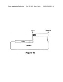 PLASMIDS AND METHODS FOR PEPTIDE DISPLAY AND AFFINITY-SELECTION ON     VIRUS-LIKE PARTICLES OF RNA BACTERIOPHAGES diagram and image