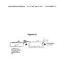 PLASMIDS AND METHODS FOR PEPTIDE DISPLAY AND AFFINITY-SELECTION ON     VIRUS-LIKE PARTICLES OF RNA BACTERIOPHAGES diagram and image