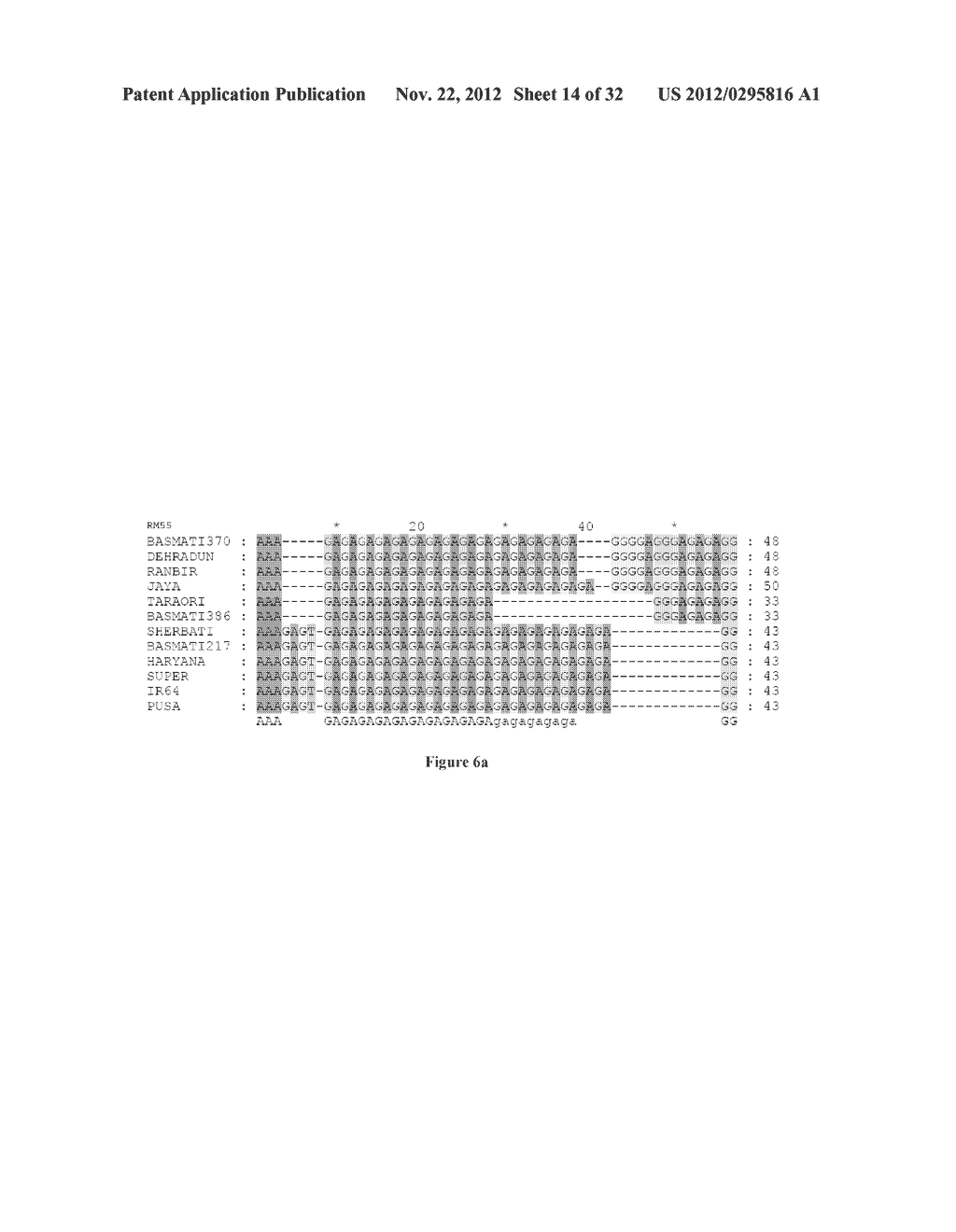 SINGLE TUBE MULTIPLEX ASSAY FOR DETECTION AND QUANTIFICATION OF     ADULTERANTS IN BASMATI RICE SAMPLES - diagram, schematic, and image 15