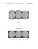 METHOD OF MULTI PATHOGEN DETECTION diagram and image