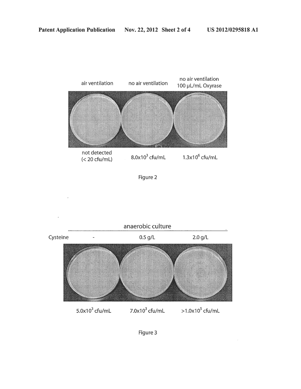 METHOD OF MULTI PATHOGEN DETECTION - diagram, schematic, and image 03