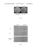 METHOD OF MULTI PATHOGEN DETECTION diagram and image