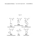 Selective poly-substituted glycine antibiotics and related compositions diagram and image