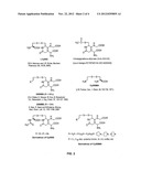 METHODS FOR REDUCING OXIDATIVE STRESS IN A CELL WITH A SULFHYDRYL     PROTECTED GLUTATHIONE PRODRUG diagram and image