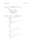 FREDERICAMYCIN DERIVATIVES diagram and image