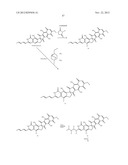 FREDERICAMYCIN DERIVATIVES diagram and image