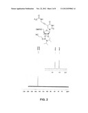 NUCLEOBASE-FUNCTIONALIZED CONFORMATIONALLY RESTRICTED NUCLEOTIDES AND     OLIGONUCLEOTIDES FOR TARGETING OF NUCLEIC ACIDS diagram and image