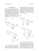 NUCLEOBASE-FUNCTIONALIZED CONFORMATIONALLY RESTRICTED NUCLEOTIDES AND     OLIGONUCLEOTIDES FOR TARGETING OF NUCLEIC ACIDS diagram and image