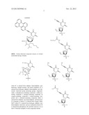 NUCLEOBASE-FUNCTIONALIZED CONFORMATIONALLY RESTRICTED NUCLEOTIDES AND     OLIGONUCLEOTIDES FOR TARGETING OF NUCLEIC ACIDS diagram and image