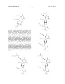 NUCLEOBASE-FUNCTIONALIZED CONFORMATIONALLY RESTRICTED NUCLEOTIDES AND     OLIGONUCLEOTIDES FOR TARGETING OF NUCLEIC ACIDS diagram and image