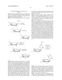 NUCLEOBASE-FUNCTIONALIZED CONFORMATIONALLY RESTRICTED NUCLEOTIDES AND     OLIGONUCLEOTIDES FOR TARGETING OF NUCLEIC ACIDS diagram and image