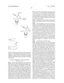 NUCLEOBASE-FUNCTIONALIZED CONFORMATIONALLY RESTRICTED NUCLEOTIDES AND     OLIGONUCLEOTIDES FOR TARGETING OF NUCLEIC ACIDS diagram and image