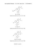 GABAERGIC RECEPTOR SUBTYPE SELECTIVE LIGANDS AND THEIR USES diagram and image