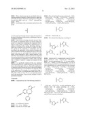 GABAERGIC RECEPTOR SUBTYPE SELECTIVE LIGANDS AND THEIR USES diagram and image