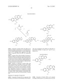 SPIRO-OXINDOLE COMPOUNDS AND THEIR USES AS THERAPEUTIC AGENTS diagram and image