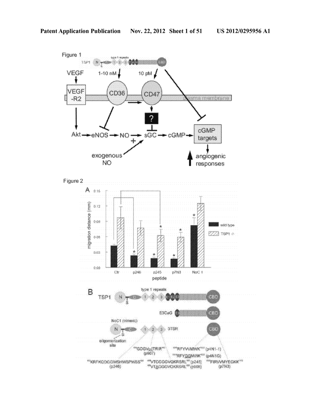 PREVENTION OF TISSUE ISCHEMIA  AND RELATED METHODS - diagram, schematic, and image 02