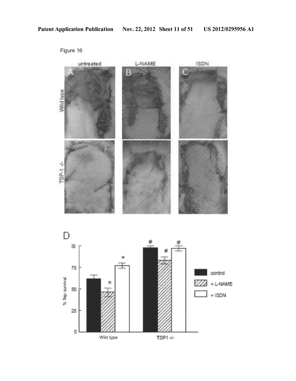 PREVENTION OF TISSUE ISCHEMIA  AND RELATED METHODS - diagram, schematic, and image 12