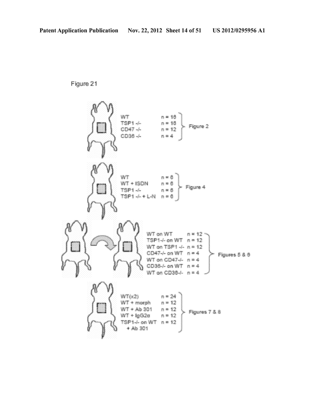 PREVENTION OF TISSUE ISCHEMIA  AND RELATED METHODS - diagram, schematic, and image 15