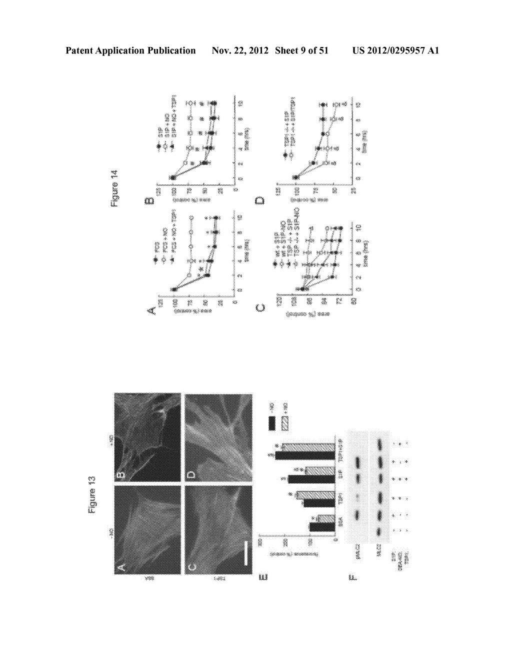 PREVENTION OF TISSUE ISCHEMIA AND RELATED COMPOSITIONS - diagram, schematic, and image 10