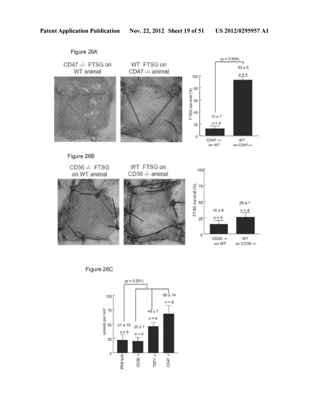 PREVENTION OF TISSUE ISCHEMIA AND RELATED COMPOSITIONS - diagram, schematic, and image 20