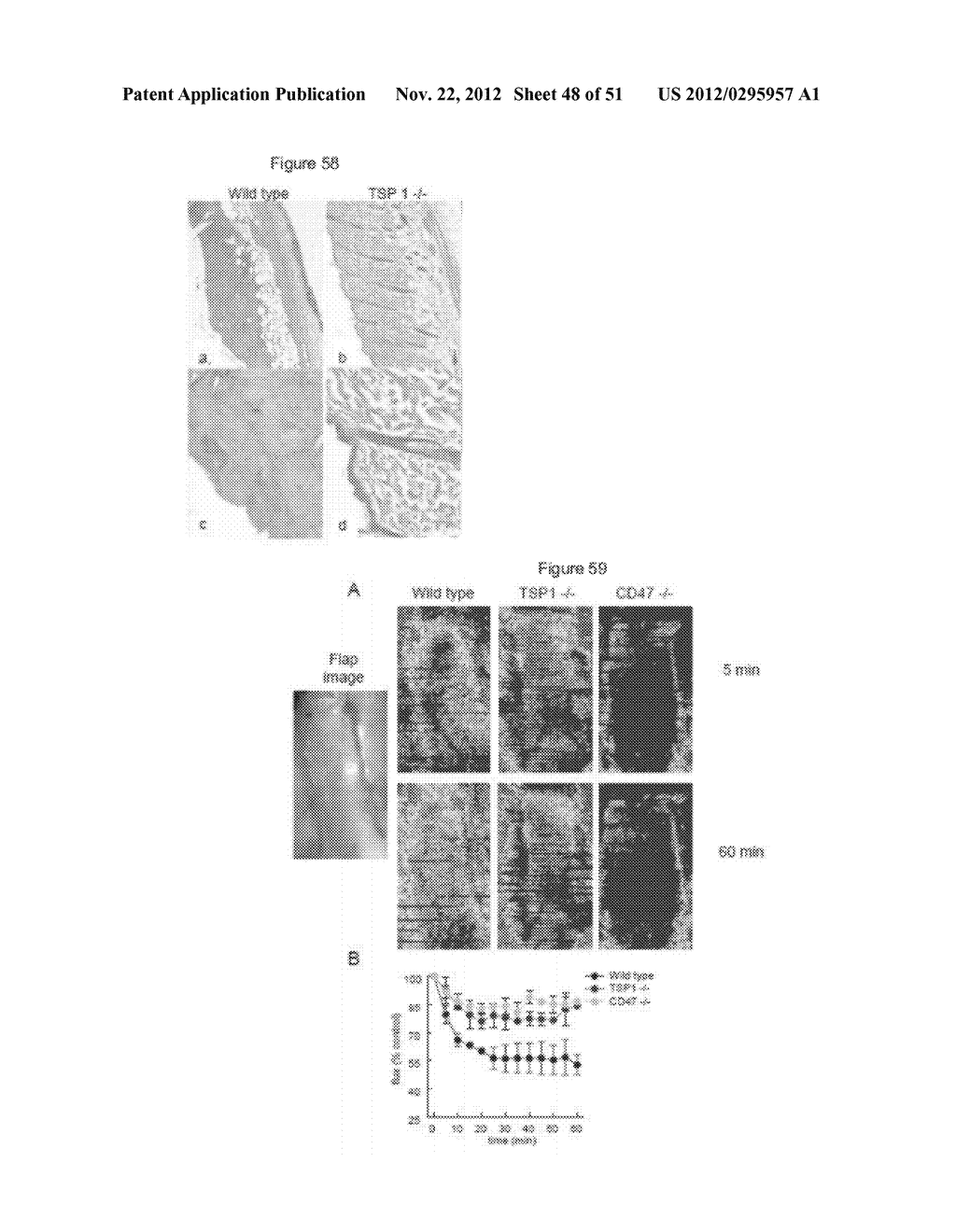 PREVENTION OF TISSUE ISCHEMIA AND RELATED COMPOSITIONS - diagram, schematic, and image 49