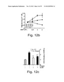 AGENTS, COMPOSITIONS AND METHODS FOR TREATING PATHOLOGIES IN WHICH     REGULATING AN ACHE-ASSOCIATED BIOLOGICAL PATHWAY IS BENEFICIAL diagram and image