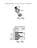 AGENTS, COMPOSITIONS AND METHODS FOR TREATING PATHOLOGIES IN WHICH     REGULATING AN ACHE-ASSOCIATED BIOLOGICAL PATHWAY IS BENEFICIAL diagram and image