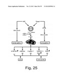 AGENTS, COMPOSITIONS AND METHODS FOR TREATING PATHOLOGIES IN WHICH     REGULATING AN ACHE-ASSOCIATED BIOLOGICAL PATHWAY IS BENEFICIAL diagram and image