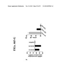 AGENTS, COMPOSITIONS AND METHODS FOR TREATING PATHOLOGIES IN WHICH     REGULATING AN ACHE-ASSOCIATED BIOLOGICAL PATHWAY IS BENEFICIAL diagram and image