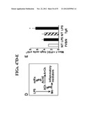 AGENTS, COMPOSITIONS AND METHODS FOR TREATING PATHOLOGIES IN WHICH     REGULATING AN ACHE-ASSOCIATED BIOLOGICAL PATHWAY IS BENEFICIAL diagram and image