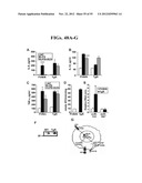 AGENTS, COMPOSITIONS AND METHODS FOR TREATING PATHOLOGIES IN WHICH     REGULATING AN ACHE-ASSOCIATED BIOLOGICAL PATHWAY IS BENEFICIAL diagram and image