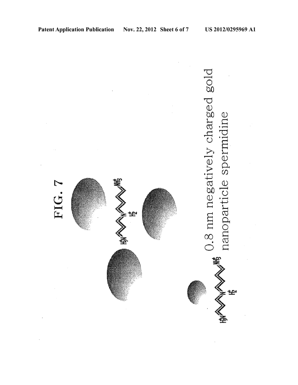 Novel Muscle Relaxant Using Negatively Charged Gold with Choline - diagram, schematic, and image 07