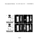 CHEMILUMINESCENT DYES AND DYE-STAINED PARTICLES diagram and image