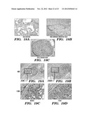 SERICIN EXTRACTED FABRICS diagram and image