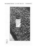 METHOD OF ACCELERATING THE GROWTH AND DEVELOPMENT OF TREES AND SHRUBS VIA     ENHANCED ROOT DEVELOPMENT diagram and image