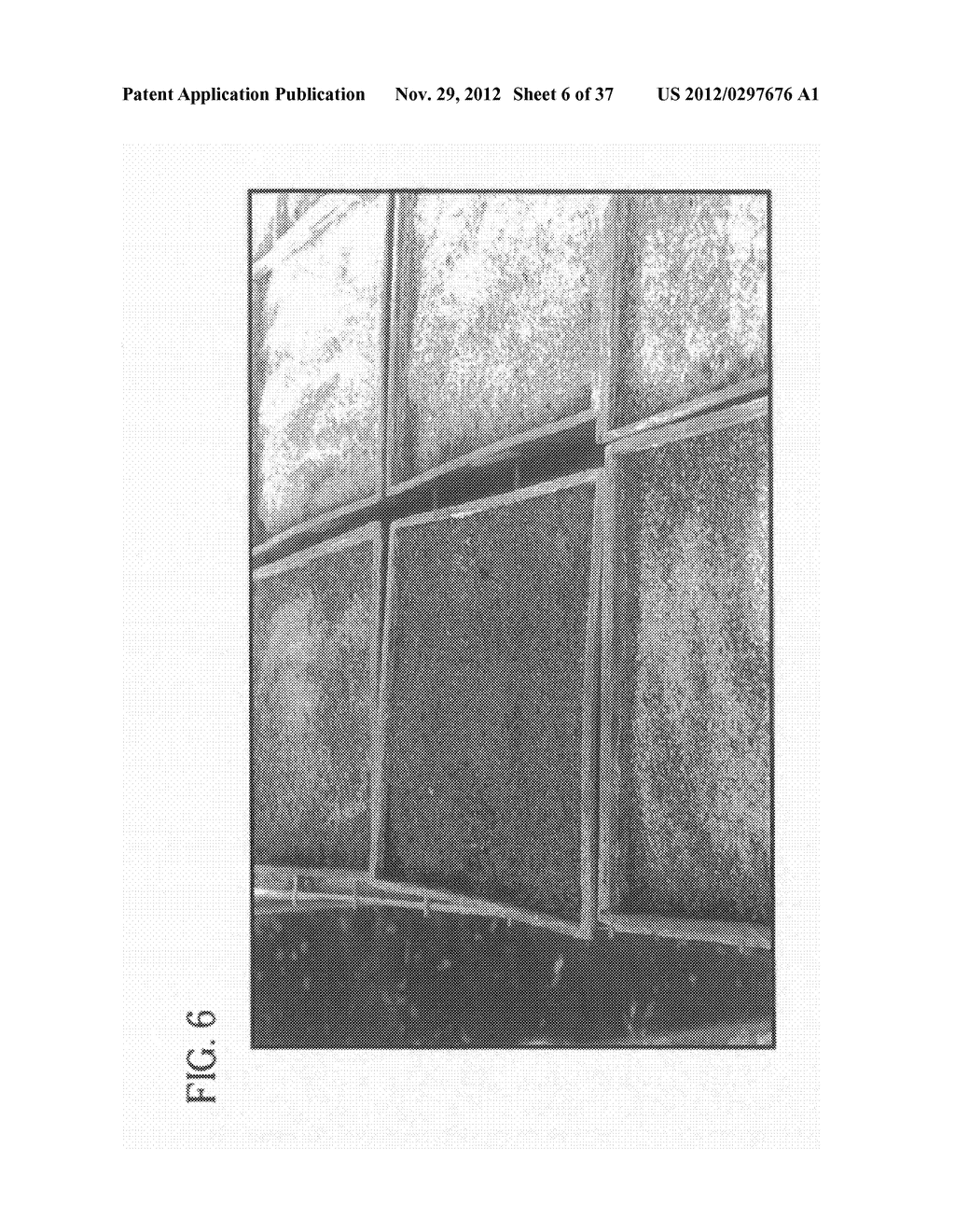 METHOD OF ACCELERATING THE GROWTH AND DEVELOPMENT OF TREES AND SHRUBS VIA     ENHANCED ROOT DEVELOPMENT - diagram, schematic, and image 07